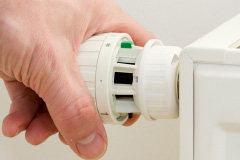 Rushy Green central heating repair costs